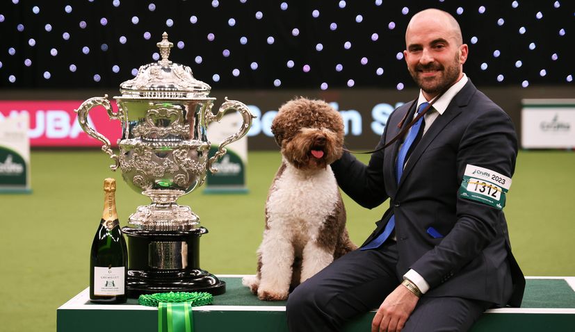 Orca from Croatia wins at world’s most prestigious dog show Crufts
