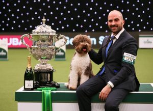 Javier Gonzalez Menicote from Croatia with Orca, a Lagotto Romagnolo, who won the coveted title of Best in Show today (Sunday 12.03.23), the final day of Crufts 2023, at the NEC Birmingham. Crufts 2023 is taking place between the 9th and the 12th March 2023, at the NEC, Birmingham. Please credit: BeatMedia/The Kennel Club