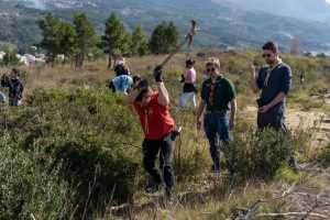 Reforesting Makarska: Volunteers plant trees