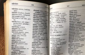 New Croatian words to be selected - the 15 on the shortlist 