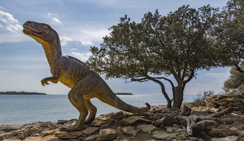 Croatia’s Brijuni Islands: Discover its dinosaur past