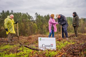 How Croatia's community of volunteers is helping to regrow forests