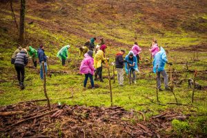 How Croatia's community of volunteers is helping to regrow forests