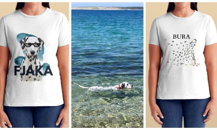 Pago the Dalmatian from Pag gets his own souvenir collection for a good cause