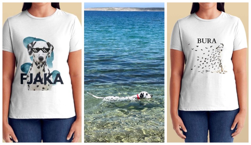 Charm of Dalmatians and Beauty of Pag: A souvenir collection for a good cause