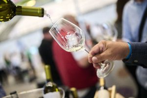 Istrian wine scene impresses yet again