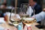 27 wines of Croatia earn 90+ scores in Wine Enthusiast magazine