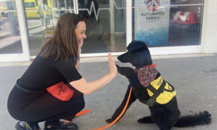 KBC Split becomes first hospital in Croatia to have its own therapy dog – meet Dora