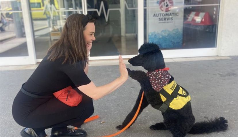 KBC Split becomes first hospital in Croatia to have its own therapy dog – meet Dora