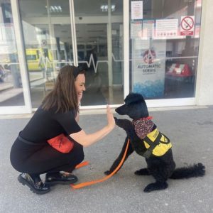 KBC Split becomes first hospital in Croatia to have its own therapy dog - meet Dora