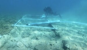 Amazing discovery near Korčula: 7,000 year-old road found under the sea