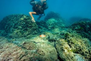 New tourist product in Croatia: Istria Snorkeling