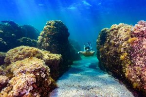 New tourist product in Croatia: Istria Snorkeling