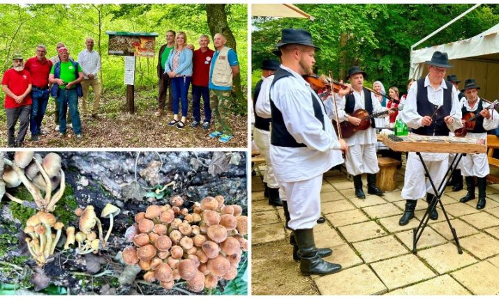 Croatia’s first Mushroom Educational Park opens