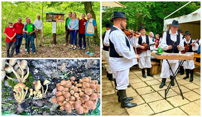The first Mushroom Educational Park in Croatia has opened