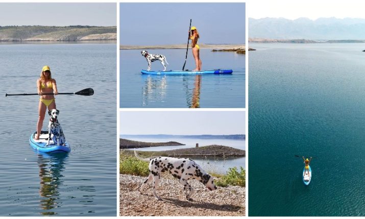 Pet-friendly SUP tours launched on Pag Island