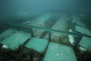 Oldest hand-sewn boat in the Mediterranean found in Croatia