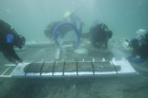Oldest hand-sewn boat in the Mediterranean found in Croatia