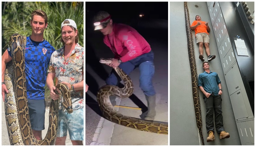 Croatian-American cousins capture world record-long python in Florida