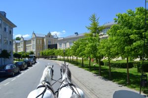Five must-visit places in Croatia’s Požega-Slavonia County