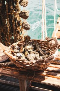 Pelješac: More than beautiful beaches and pristine sea - here is what else to check out