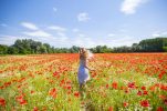 From castles to poppy fields: 5 Top outings in Slavonia and Podravina
