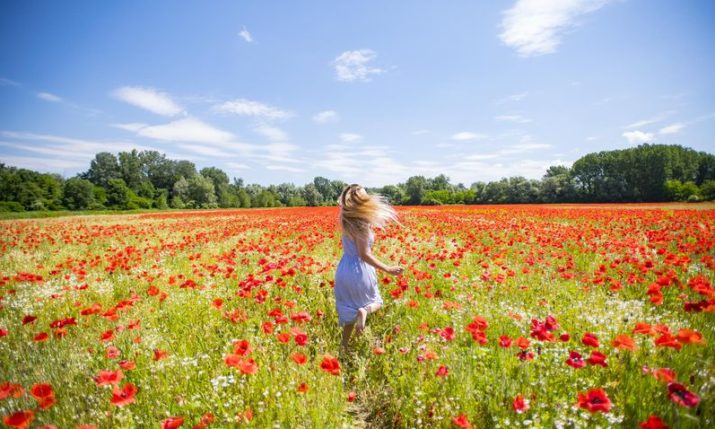 From castles to poppy fields: 5 Top outings in Slavonia and Podravina