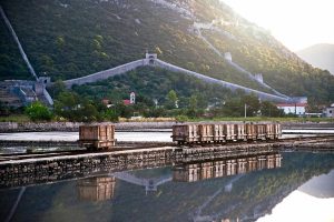 Salt Festival on the Pelješac Peninsula set to start - what to expect