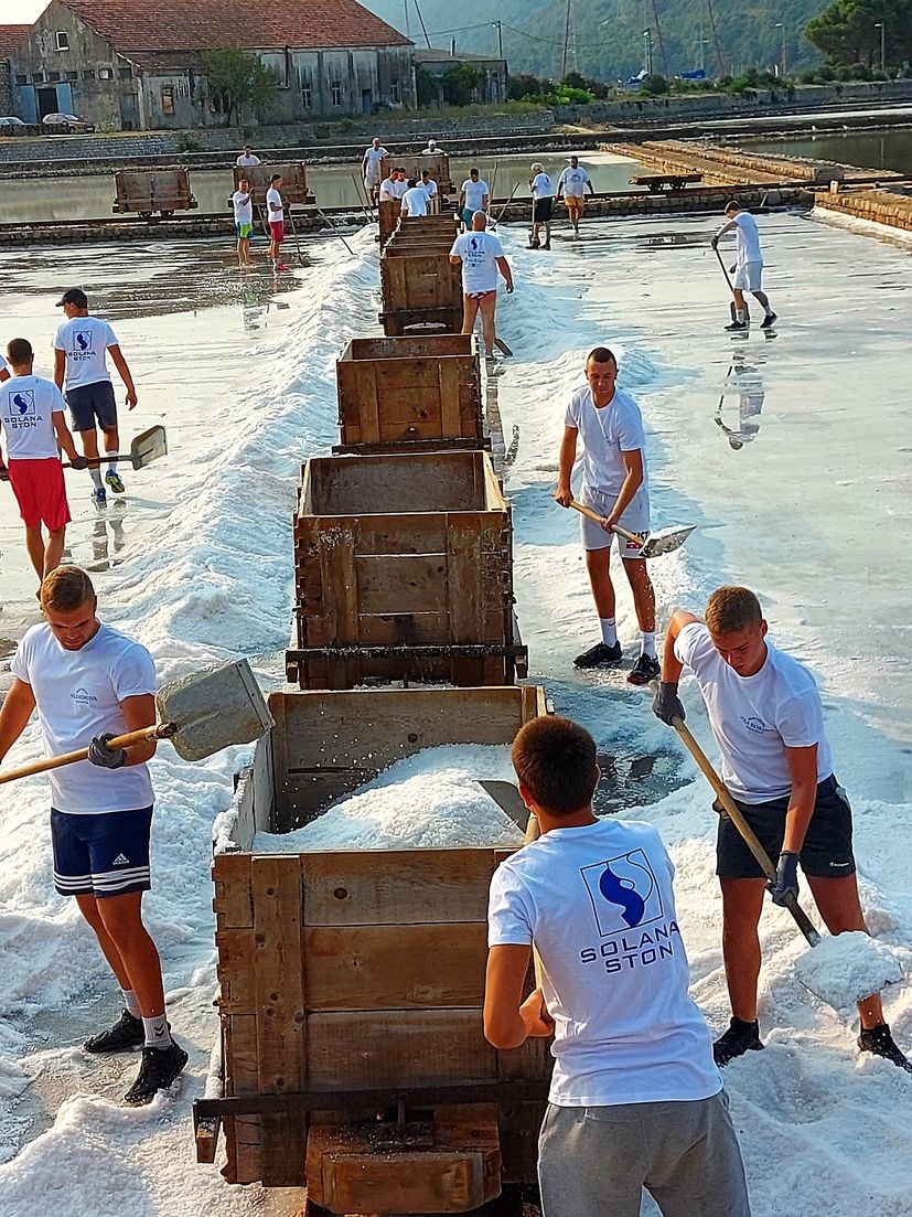 Salt Festival on the Pelješac Peninsula set to start - what to expect 
