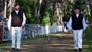 Unique Croatian tradition dating back over 325 years held again