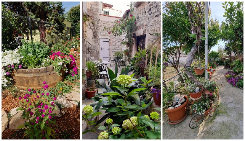 Most beautiful gardens and balconies in Trogir selected 