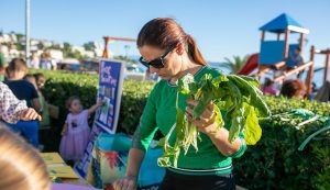 (Photo: Podgora Tourist Board)