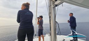 first research and satellite tagging of Cuvier's beaked whales have begun in the Adriatic Sea. 