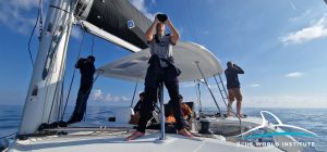 first research and satellite tagging of Cuvier's beaked whales have begun in the Adriatic Sea. 