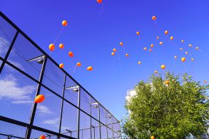Šibenik Pays Tribute to Basketball Legend Dražen Petrović on His 59th Birthday