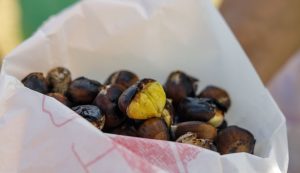 Exploring the delights of Croatia's chestnut season in Sveti Ivan Zelina