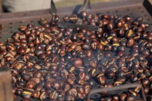 Exploring the delights of Croatia's chestnut season in Sveti Ivan Zelina