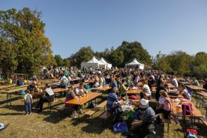 Exploring the delights of Croatia's chestnut season in Sveti Ivan Zelina