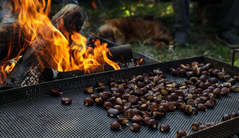 Exploring the delights of Croatia's chestnut season in Sveti Ivan Zelina
