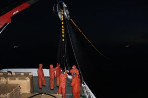 Croatian project wins innovation in fishing technology award