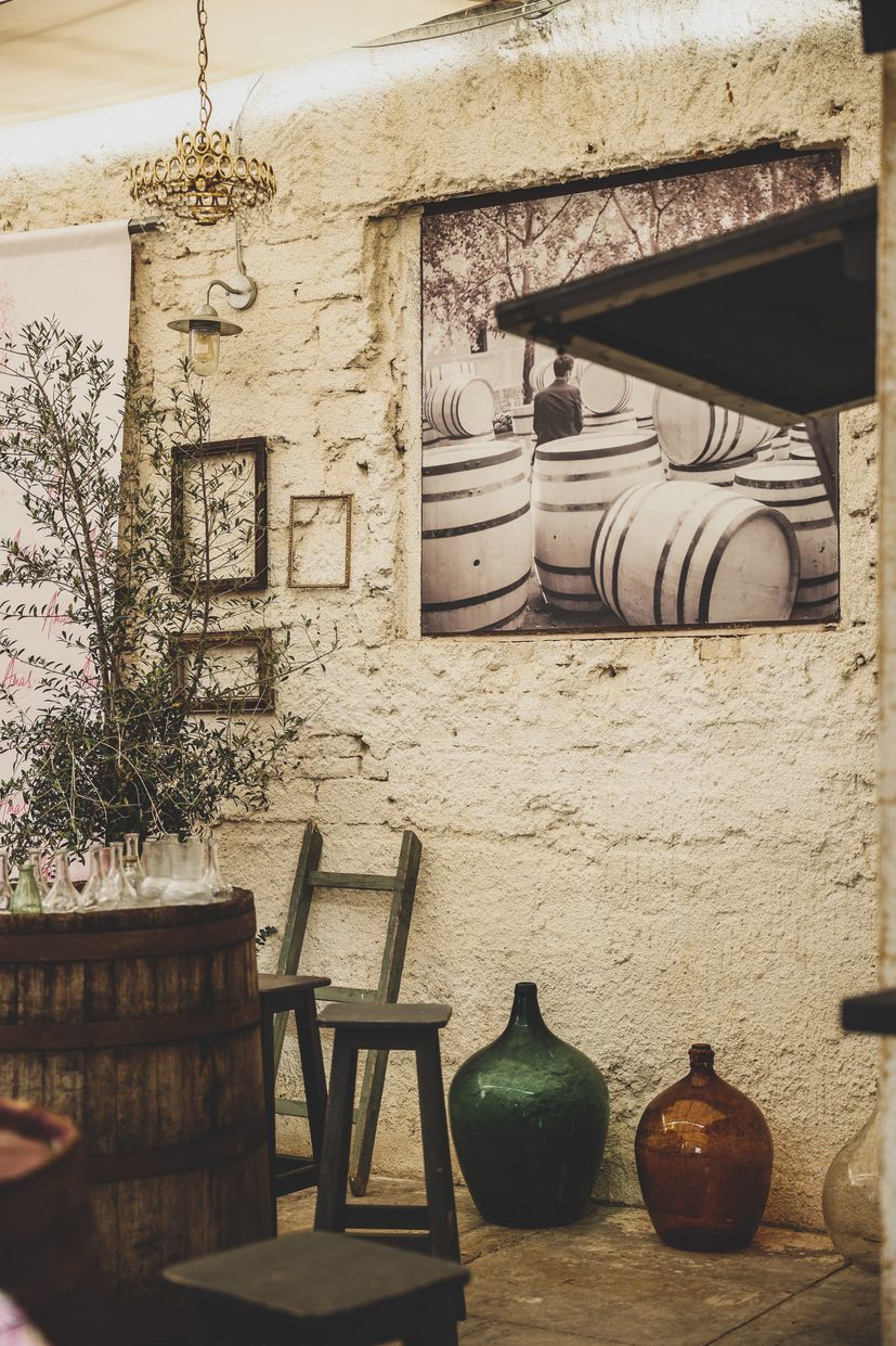 Unveiling the Hidden Gem: Fiolic Winery in Zadar, Croatia
