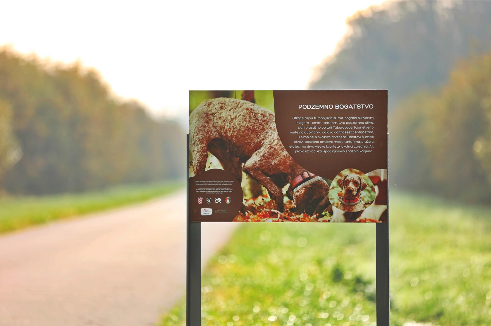 First Black Truffle Educational Trail in Zagreb County presented