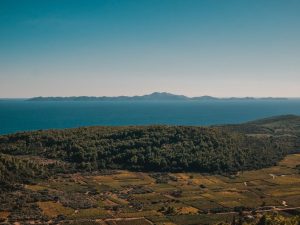 Camino Korčula: Exploring the charming island on foot