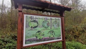 An educational trail was officially inaugurated on Friday in the Kotar Forest between Sisak and Petrinja