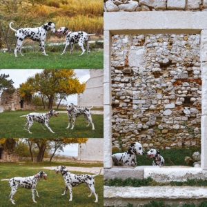 Where Dalmatia Begins: Young innovators uphold Pag tradition