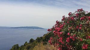 The aligned move that just made sense – moving to Croatia from New Zealand