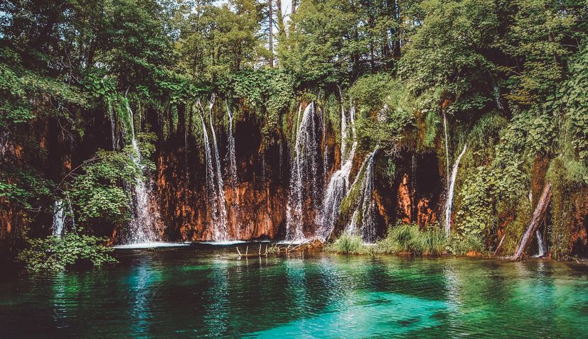 Plitvice is the world's most searched national park