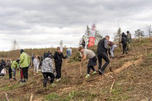 Over 125,000 trees planted across Croatia by ‘Šumoborci’