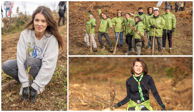 Over 125,000 trees planted across Croatia by ‘Šumoborci’