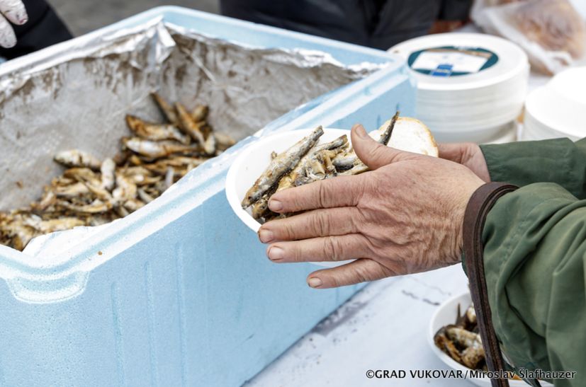 Christmas Eve tradition as free fish handed out in Croatian cities